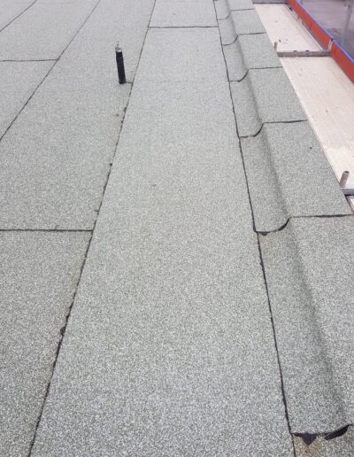 Grünes Flachdach mit Dachpappe