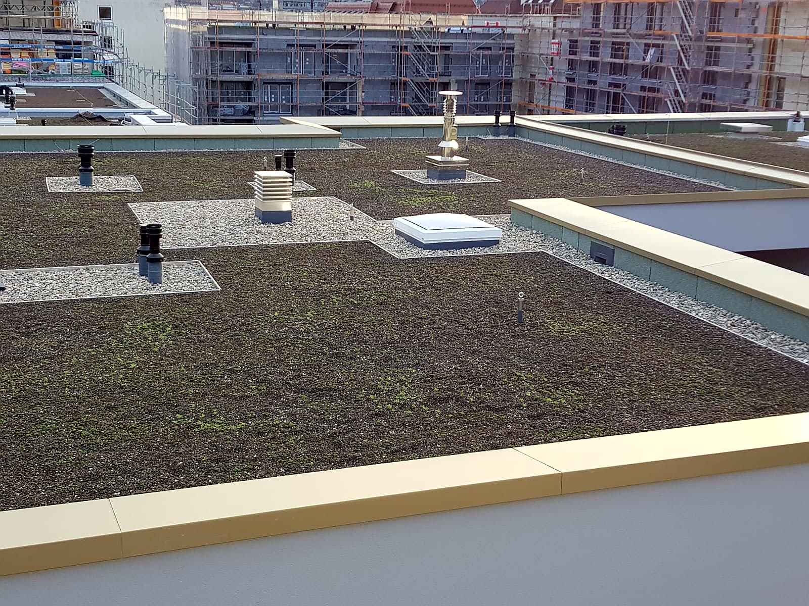 Begrünte Dachfläche mit Kies