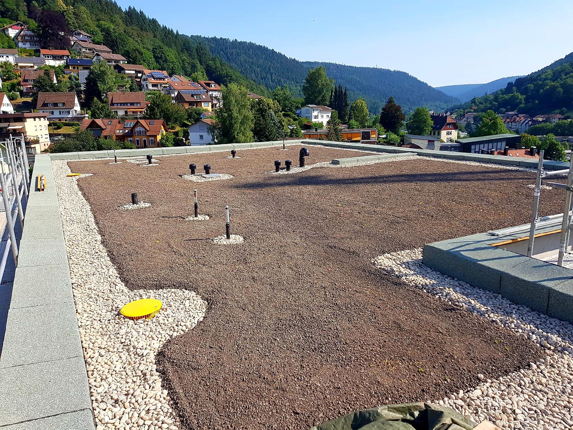 Flachdach mit Kies und Pflanzen